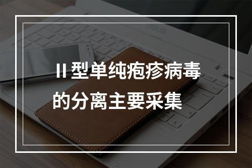 Ⅱ型单纯疱疹病毒的分离主要采集