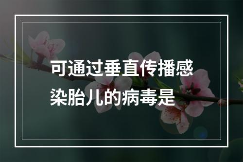 可通过垂直传播感染胎儿的病毒是