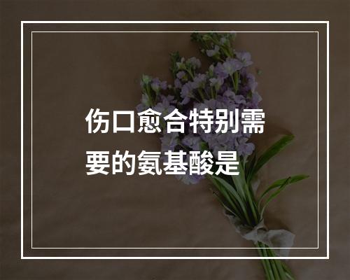 伤口愈合特别需要的氨基酸是