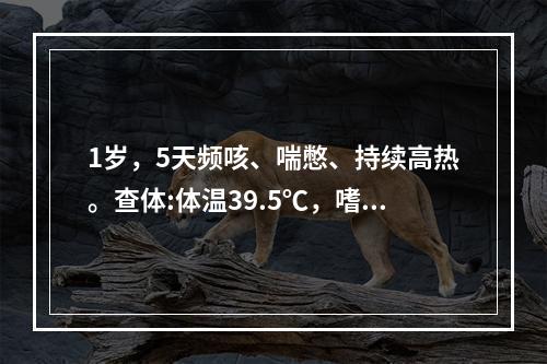 1岁，5天频咳、喘憋、持续高热。查体:体温39.5℃，嗜睡与