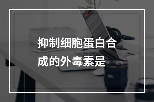 抑制细胞蛋白合成的外毒素是