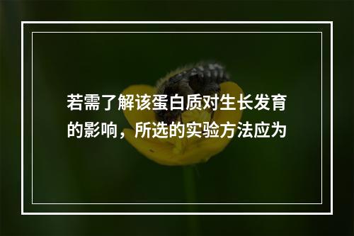 若需了解该蛋白质对生长发育的影响，所选的实验方法应为