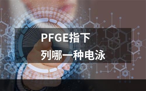 PFGE指下列哪一种电泳