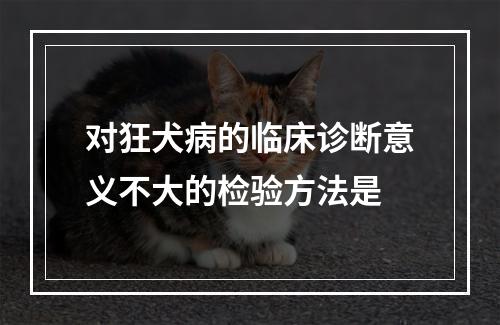 对狂犬病的临床诊断意义不大的检验方法是