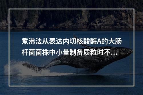 煮沸法从表达内切核酸酶A的大肠杆菌菌株中小量制备质粒时不应省