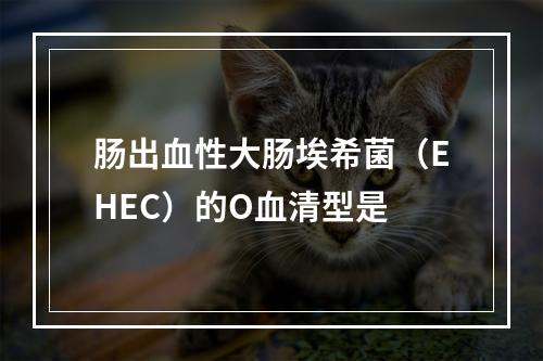 肠出血性大肠埃希菌（EHEC）的O血清型是