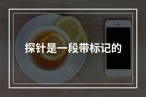 探针是一段带标记的