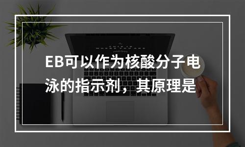 EB可以作为核酸分子电泳的指示剂，其原理是