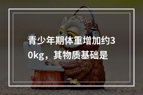 青少年期体重增加约30kg，其物质基础是