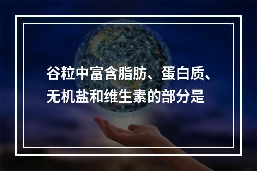 谷粒中富含脂肪、蛋白质、无机盐和维生素的部分是