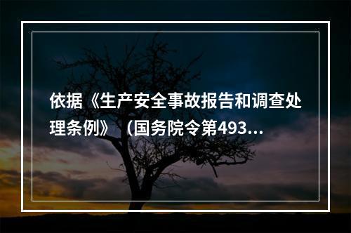 依据《生产安全事故报告和调查处理条例》（国务院令第493号）