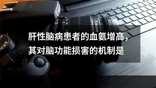 肝性脑病患者的血氨增高，其对脑功能损害的机制是