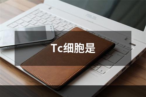 Tc细胞是