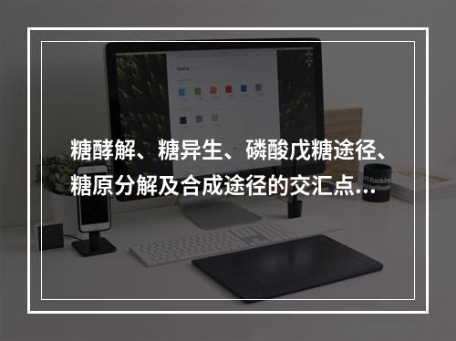 糖酵解、糖异生、磷酸戊糖途径、糖原分解及合成途径的交汇点是