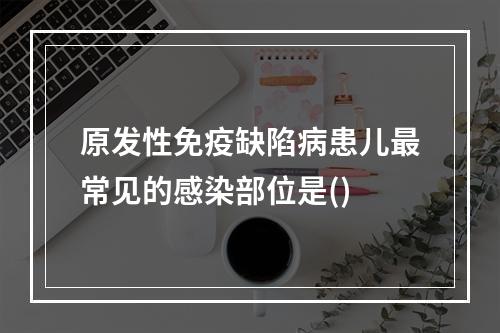 原发性免疫缺陷病患儿最常见的感染部位是()