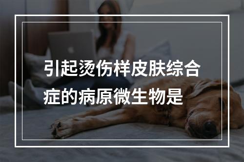 引起烫伤样皮肤综合症的病原微生物是