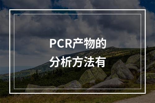 PCR产物的分析方法有