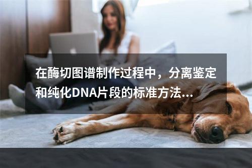 在酶切图谱制作过程中，分离鉴定和纯化DNA片段的标准方法是