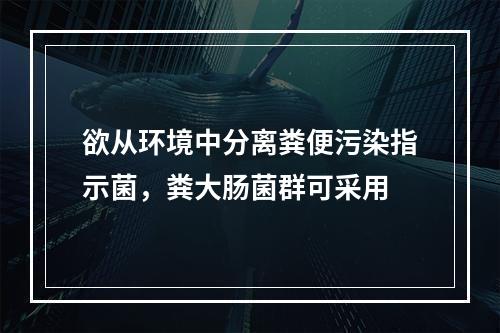 欲从环境中分离粪便污染指示菌，粪大肠菌群可采用