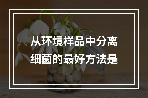 从环境样品中分离细菌的最好方法是