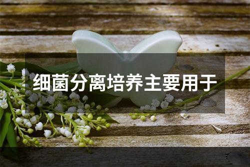 细菌分离培养主要用于