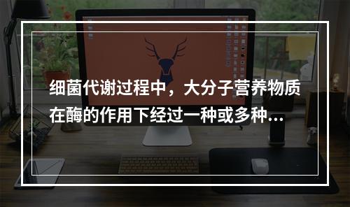 细菌代谢过程中，大分子营养物质在酶的作用下经过一种或多种途径