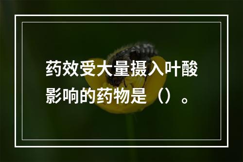 药效受大量摄入叶酸影响的药物是（）。