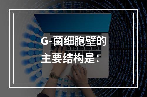 G-菌细胞壁的主要结构是：