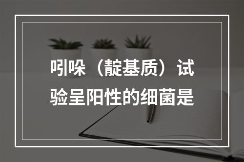 吲哚（靛基质）试验呈阳性的细菌是