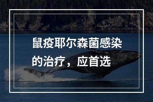 鼠疫耶尔森菌感染的治疗，应首选