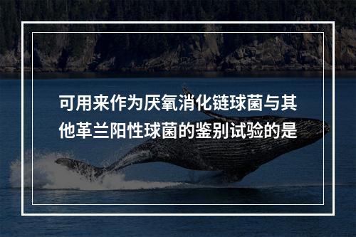 可用来作为厌氧消化链球菌与其他革兰阳性球菌的鉴别试验的是