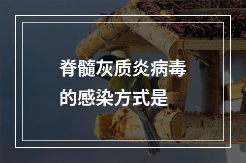 脊髓灰质炎病毒的感染方式是