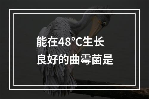 能在48℃生长良好的曲霉菌是