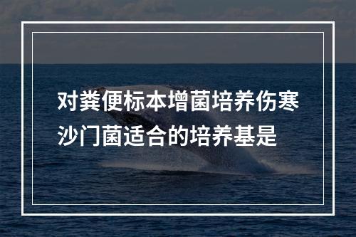 对粪便标本增菌培养伤寒沙门菌适合的培养基是