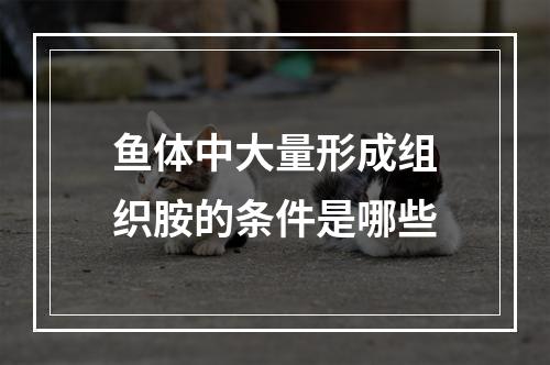 鱼体中大量形成组织胺的条件是哪些