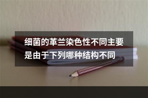 细菌的革兰染色性不同主要是由于下列哪种结构不同