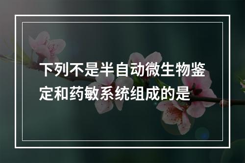 下列不是半自动微生物鉴定和药敏系统组成的是