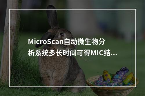 MicroScan自动微生物分析系统多长时间可得MIC结果