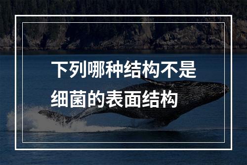 下列哪种结构不是细菌的表面结构