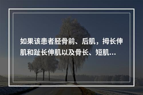 如果该患者胫骨前、后肌，拇长伸肌和趾长伸肌以及骨长、短肌肌力