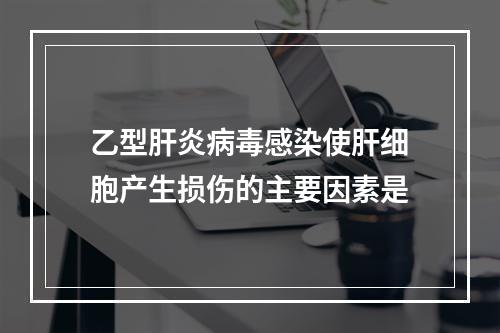 乙型肝炎病毒感染使肝细胞产生损伤的主要因素是