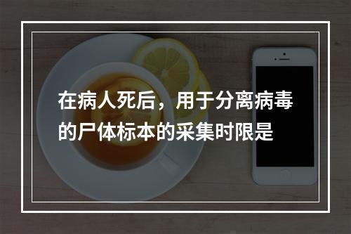 在病人死后，用于分离病毒的尸体标本的采集时限是