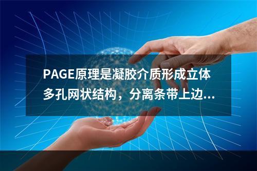 PAGE原理是凝胶介质形成立体多孔网状结构，分离条带上边是