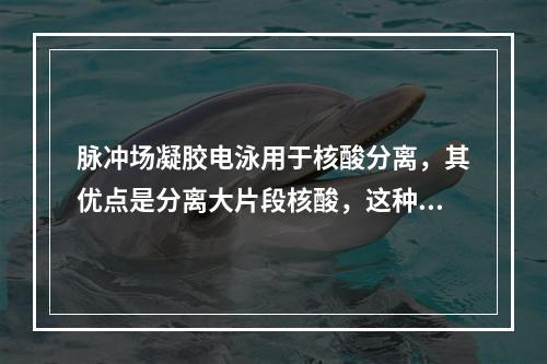 脉冲场凝胶电泳用于核酸分离，其优点是分离大片段核酸，这种电泳