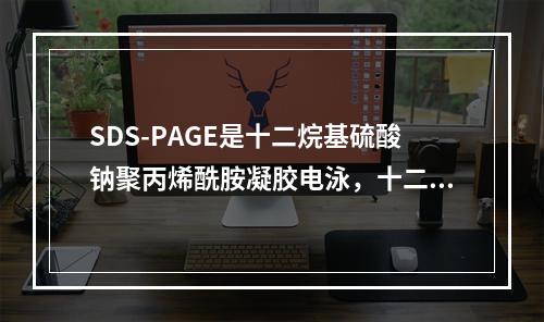 SDS-PAGE是十二烷基硫酸钠聚丙烯酰胺凝胶电泳，十二烷基