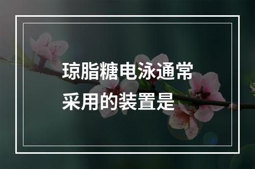 琼脂糖电泳通常采用的装置是