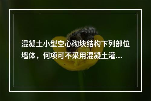 混凝土小型空心砌块结构下列部位墙体，何项可不采用混凝土灌实