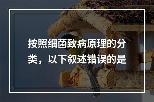 按照细菌致病原理的分类，以下叙述错误的是