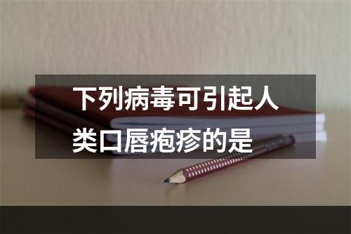 下列病毒可引起人类口唇疱疹的是