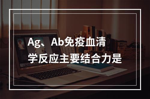 Ag、Ab免疫血清学反应主要结合力是